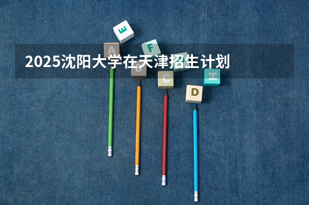 2025沈阳大学在天津招生计划