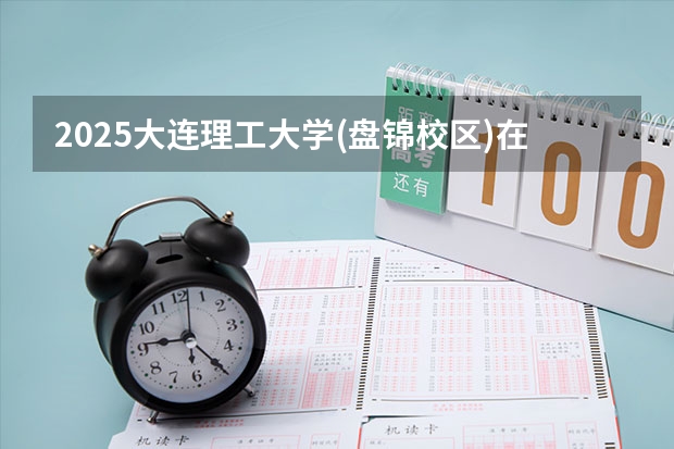 2025大连理工大学(盘锦校区)在天津招生计划