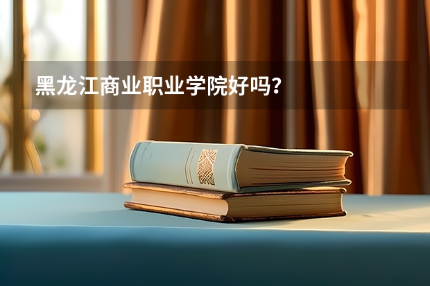 黑龙江商业职业学院好吗？