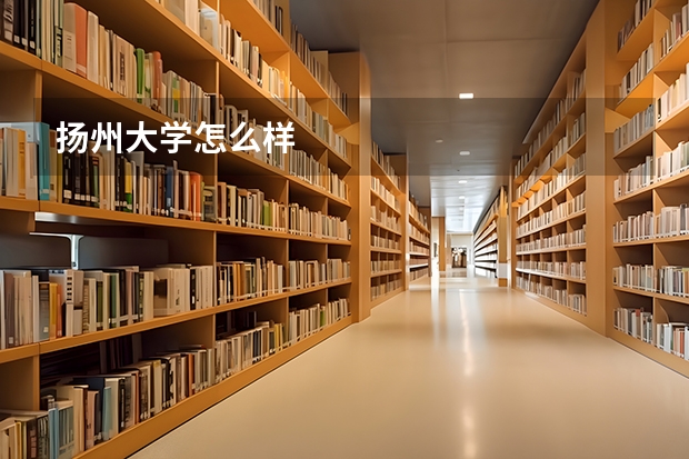 扬州大学怎么样
