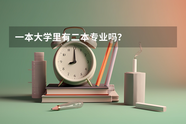 一本大学里有二本专业吗？