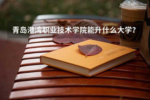 青岛港湾职业技术学院能升什么大学?
