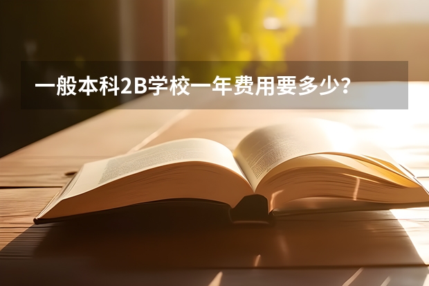 一般本科2B学校一年费用要多少？