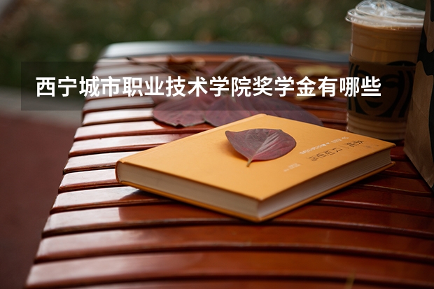 西宁城市职业技术学院奖学金有哪些