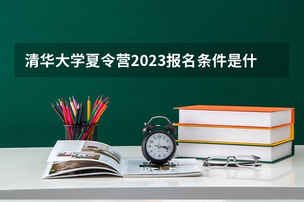 清华大学夏令营2023报名条件是什么？？