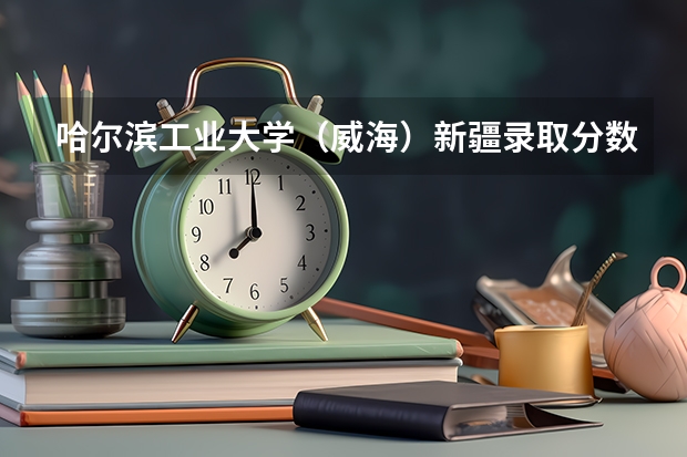 哈尔滨工业大学（威海）新疆录取分数线是多少(2024招生人数参考)