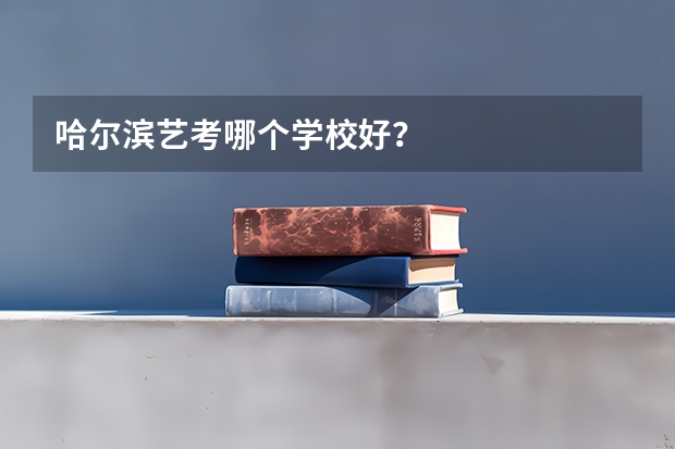 哈尔滨艺考哪个学校好？