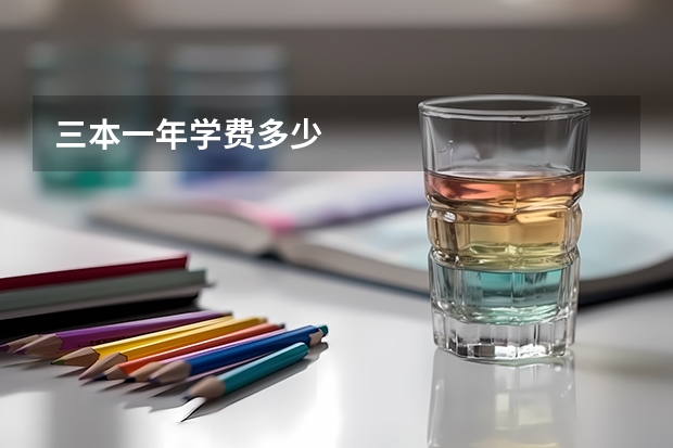 三本一年学费多少