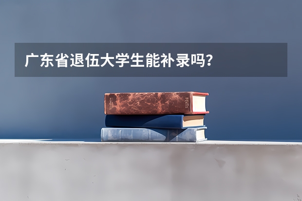 广东省退伍大学生能补录吗?