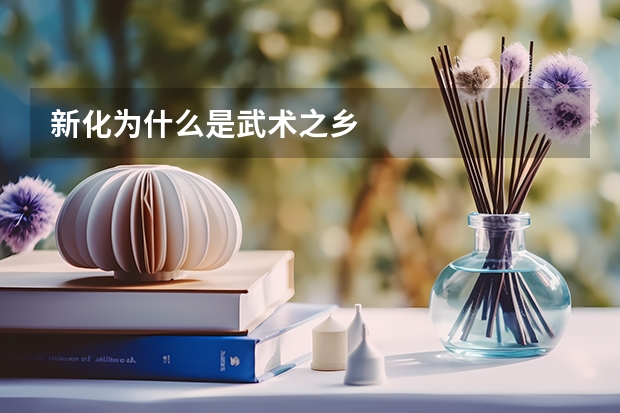 新化为什么是武术之乡