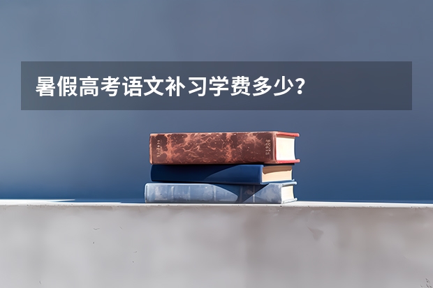 暑假高考语文补习学费多少？
