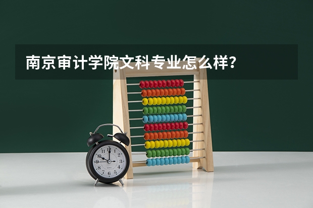 南京审计学院文科专业怎么样?