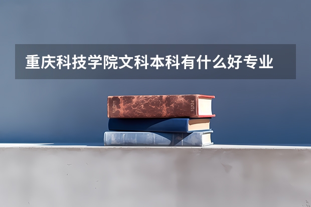 重庆科技学院文科本科有什么好专业