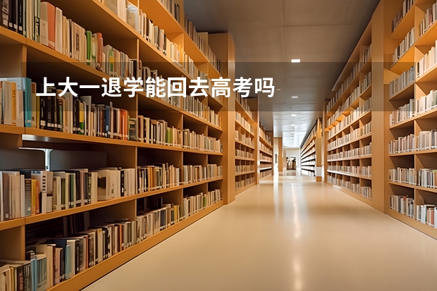 上大一退学能回去高考吗