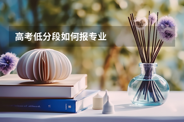 高考低分段如何报专业