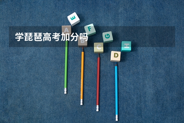 学琵琶高考加分吗