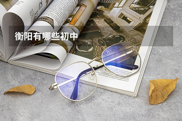衡阳有哪些初中