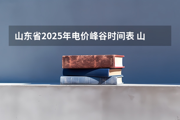 山东省2025年电价峰谷时间表 山东2025春考具体时间