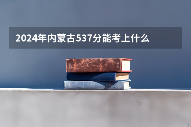 2024年内蒙古537分能考上什么大学？