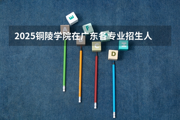 2025铜陵学院在广东各专业招生人数汇总