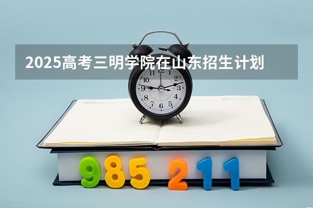 2025高考三明学院在山东招生计划