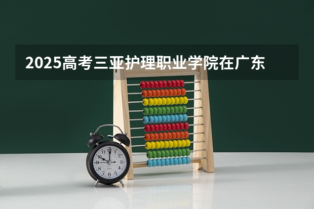 2025高考三亚护理职业学院在广东招生计划