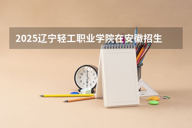 2025辽宁轻工职业学院在安徽招生计划