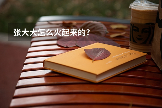 张大大怎么火起来的？